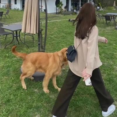 罗丹